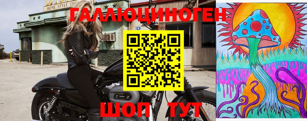 Псилоцибиновые грибы GOLDEN TEACHER Кинешма